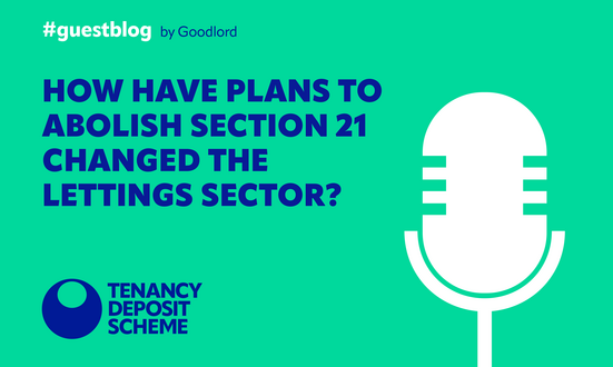 How have plans to abolish section 21 changed the lettings sector?