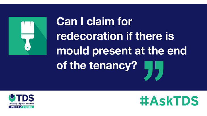 Image saying Can I claim for redecoration if there is mould present at the end of the tenancy?
