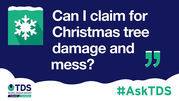 Image of #AskTDS: “Can I claim for Christmas tree damage and mess?”