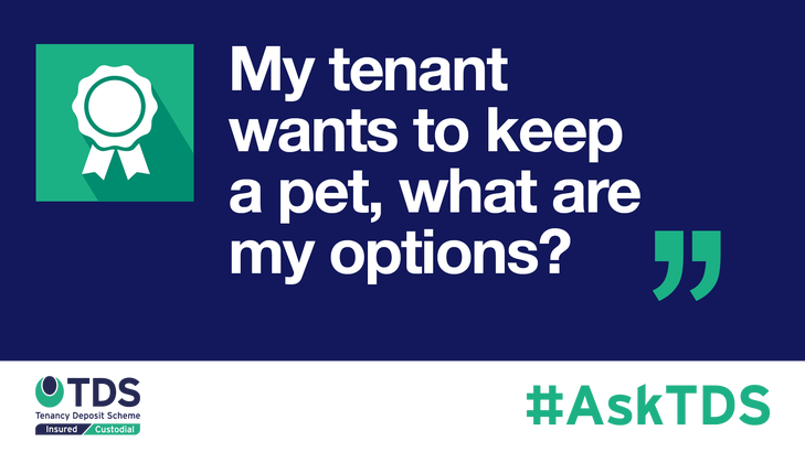 #AskTDS - Pets in properties