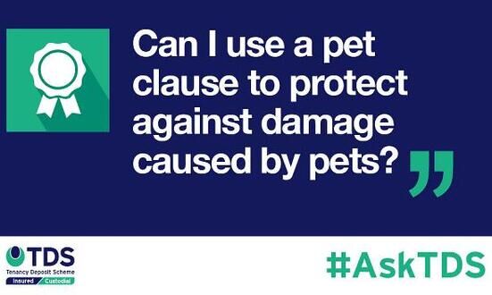 #AskTDS: Can I use a pet clause to protect against damage caused by pets?