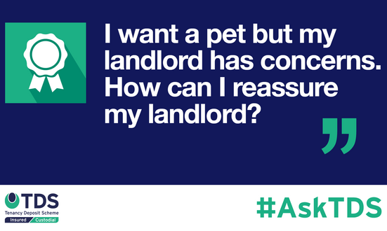 #AskTDS: I want a pet, but my landlord has concerns. How can I reassure my landlord?