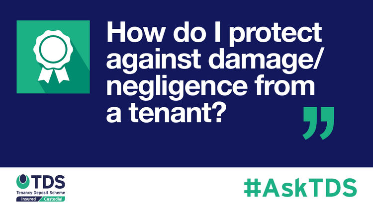 AskTDS blog graphic - How do I protect against damage/negligence from a tenant?