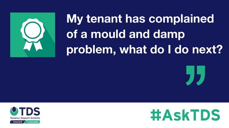 #AskTDS: My tenant has complained of a mould and damp problem, what do I do next?