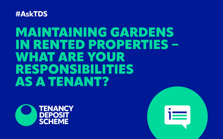 #AskTDS: Maintaining gardens in rented properties – what are your responsibilities as a tenant?