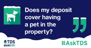 #AskTDS: "Does my deposit cover having a pet in the property?" graphic