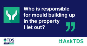 image saying "Who is responsible for mould building up in the property I let out?"