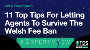Image saying "#ExpertView: 11 top tips for letting agents to survive the Welsh fee ban"