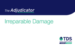 In this week's 'The Adjudicator', the landlord claimed for a replacement kitchen sink including the fitting charge. Read more here.