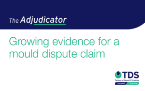 In this 'The Adjudicator' case, the letting agent initiated a dispute claim for £700 on behalf of the landlord. Find out more here.